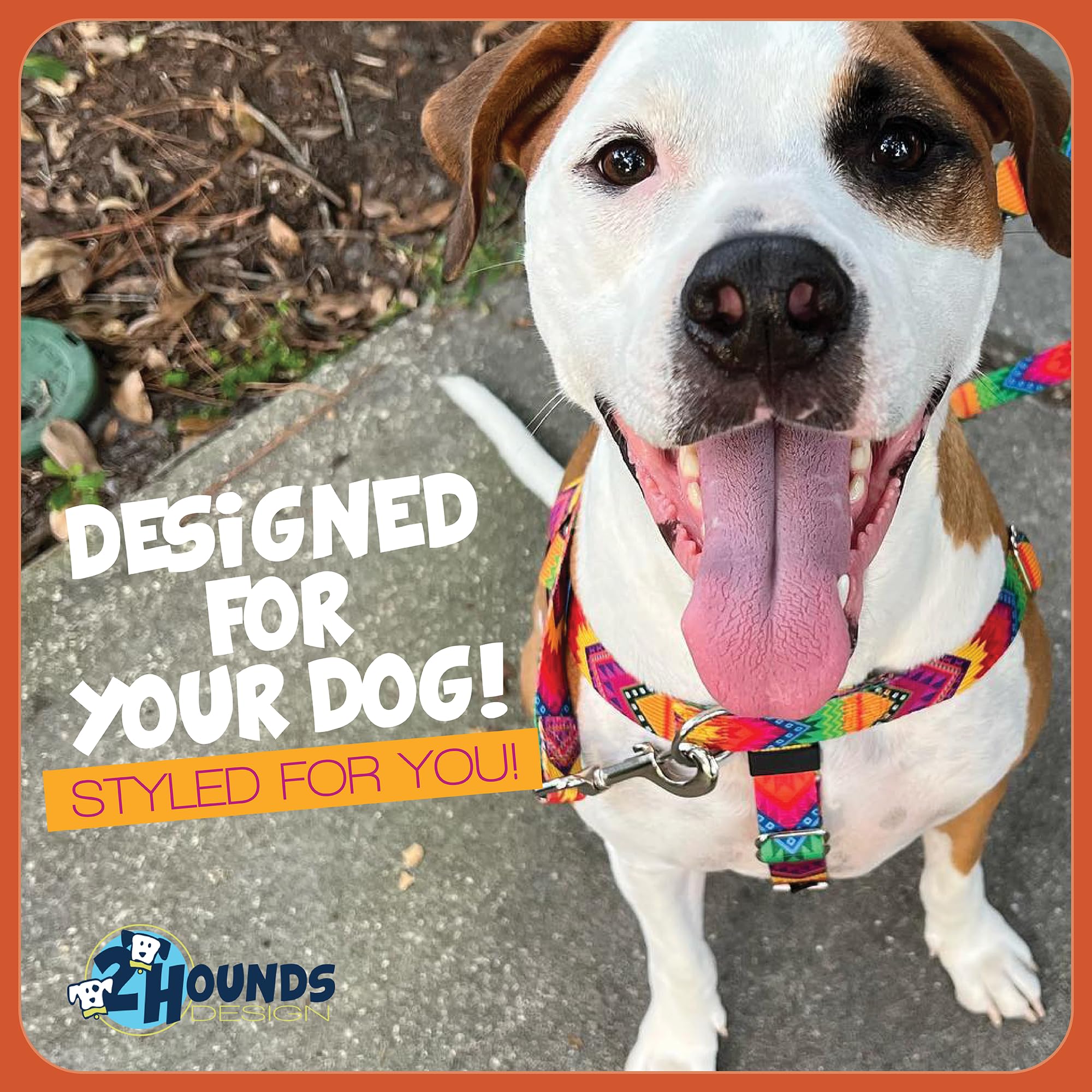 2 Hounds Design Freedom No Pull Dog Harness and Leash shown being used on a walk.