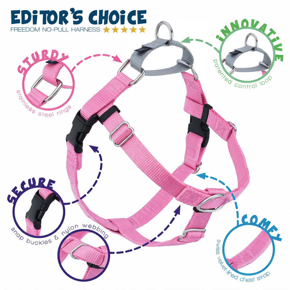 2 Hounds Design Freedom No Pull Dog Harness adjustment straps shown in detail.