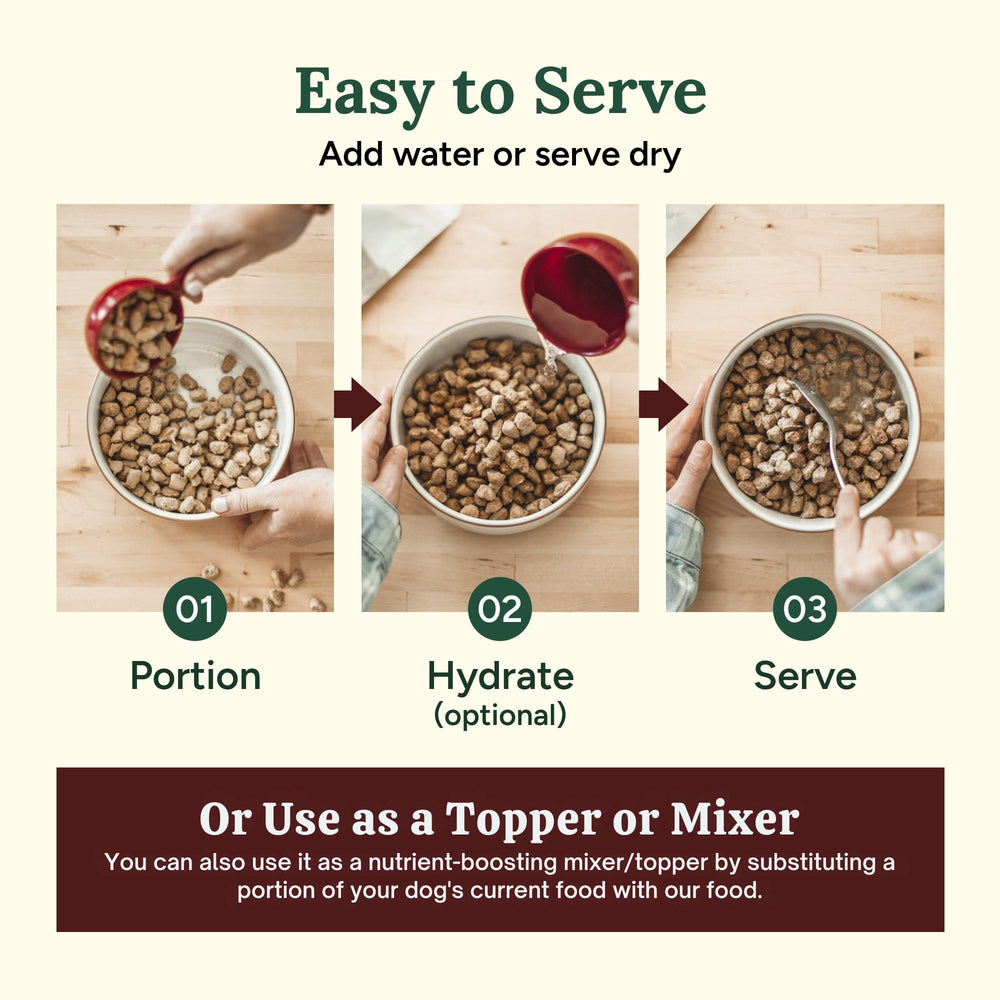 360 Pet Nutrition Freeze-Dried Raw Dog Food with its multi-protein ingredients highlighted.