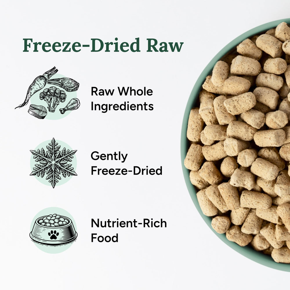 360 Pet Nutrition Freeze-Dried Raw Dog Food pieces shown together.