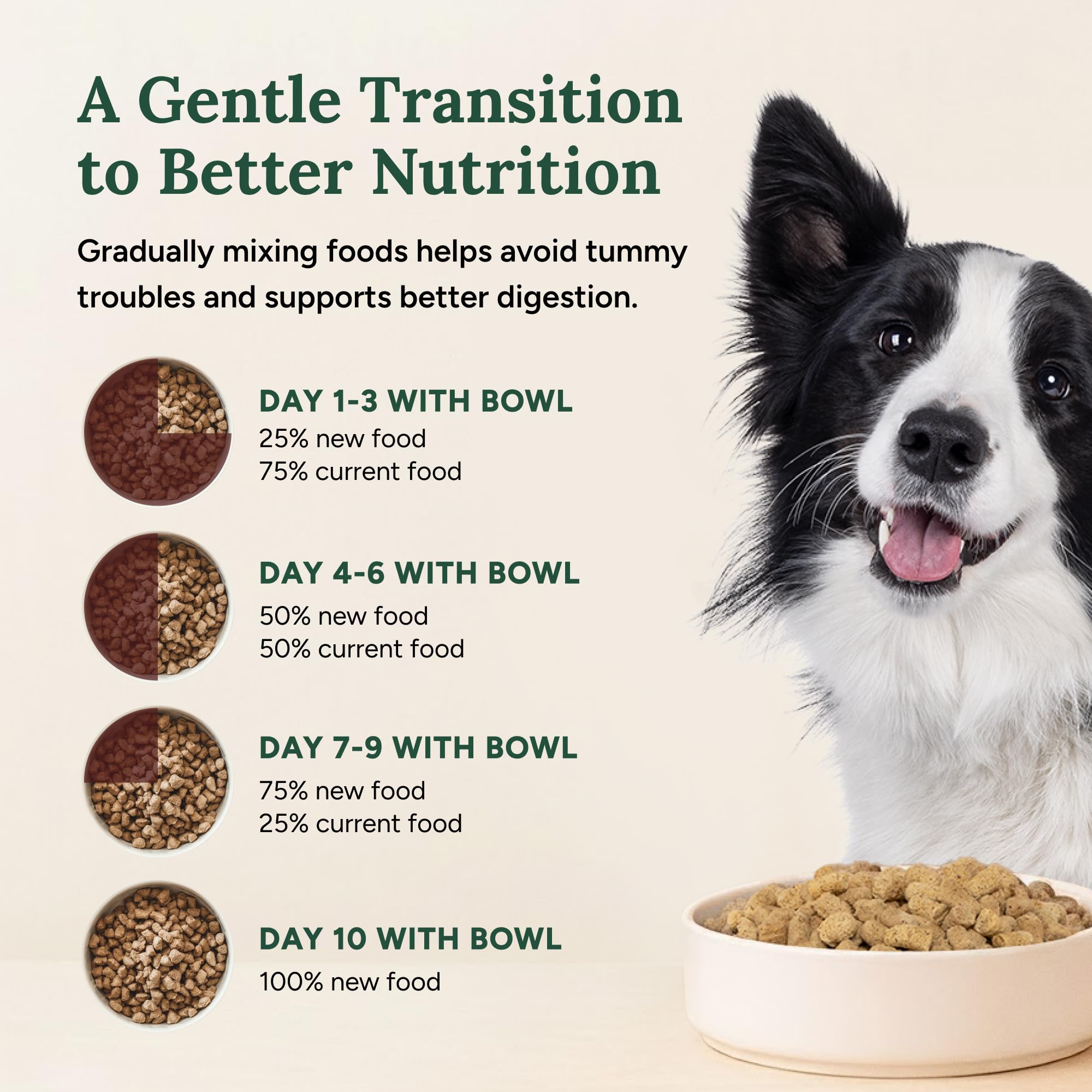 360 Pet Nutrition Freeze-Dried Raw Dog Food crumbled over kibble as a topper.