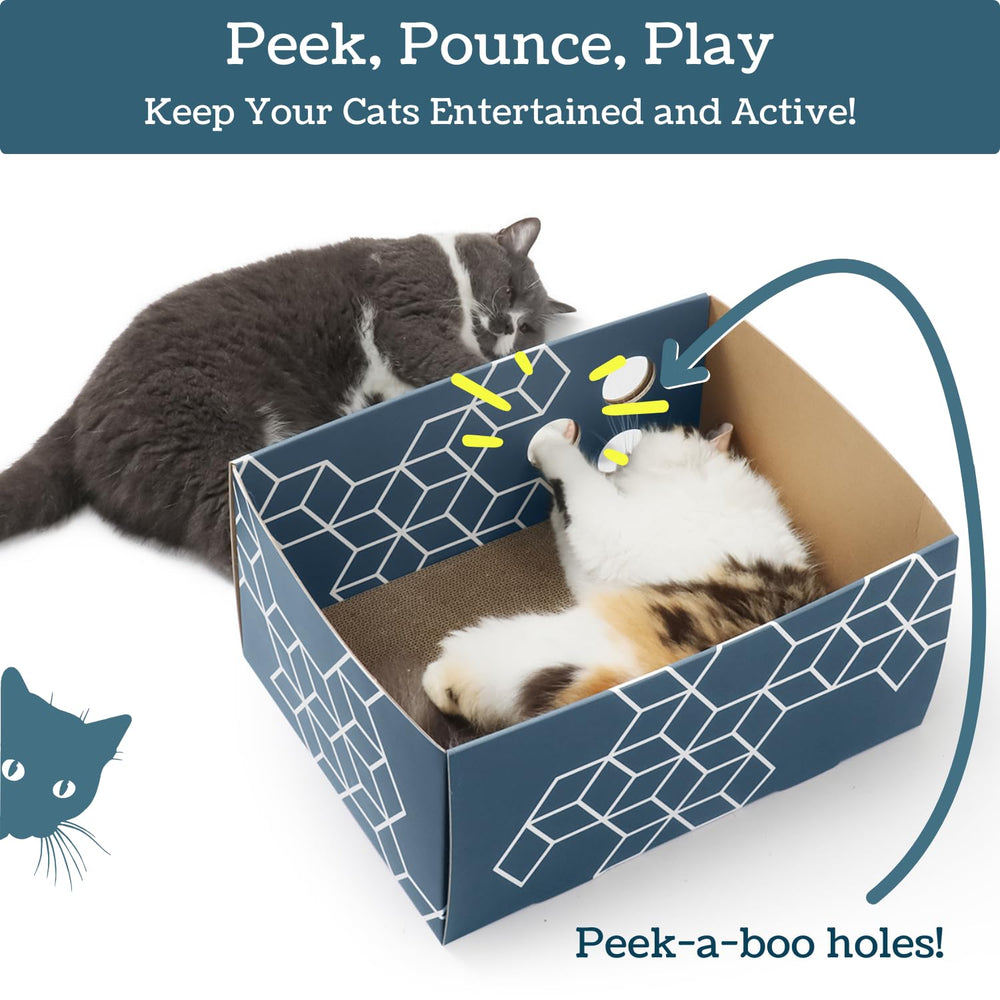 5609PETS cardboard cat scratcher box shown with the included catnip.