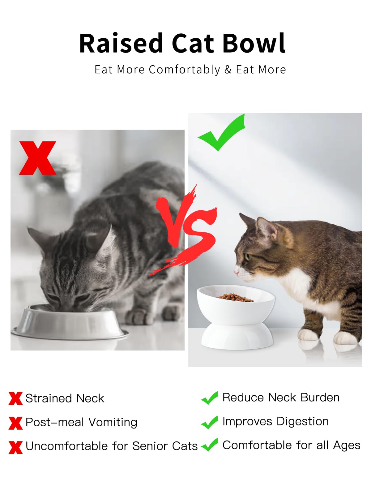 ABRUTY cat bowl shown with its food-serving capacity in focus.