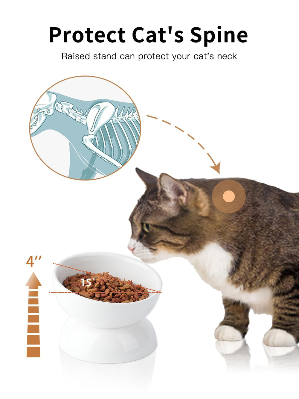 A cat eating from the raised ABRUTY cat bowl.