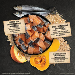 ACANA Sea to Stream dry dog food fish ingredients: salmon, whole herring and trout.