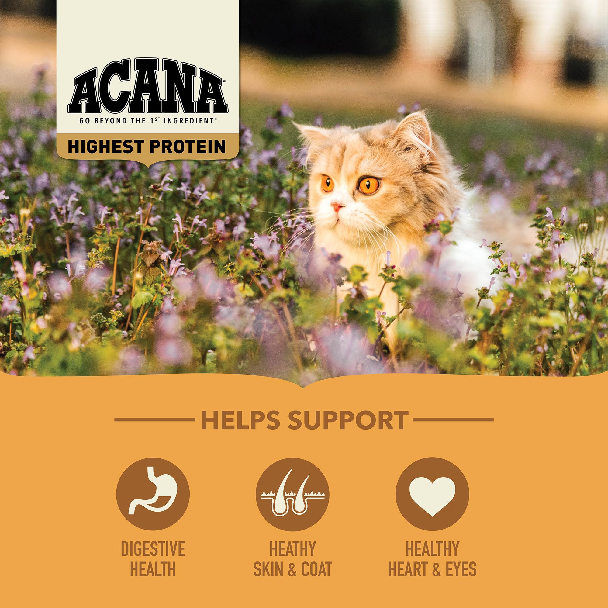 ACANA Meadowlands cat food kibble shown in a close-up view.