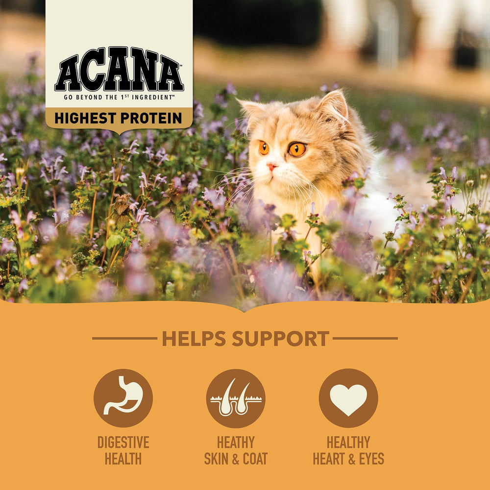 ACANA Meadowlands cat food kibble shown in a close-up view.