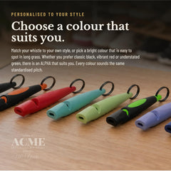 ACME Alpha 210.5 dog training whistle shown being used during smaller-dog training.