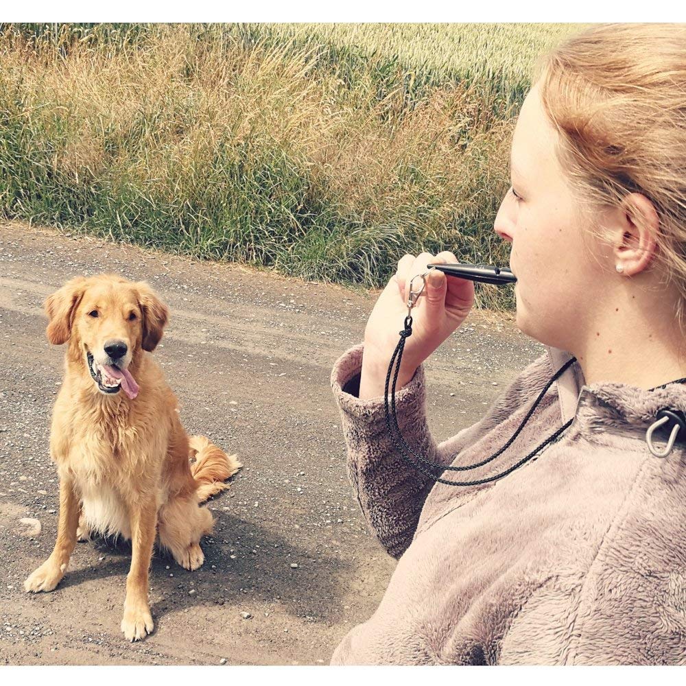 ACME 211.5 dog training whistle used during an outdoor dog-training session.