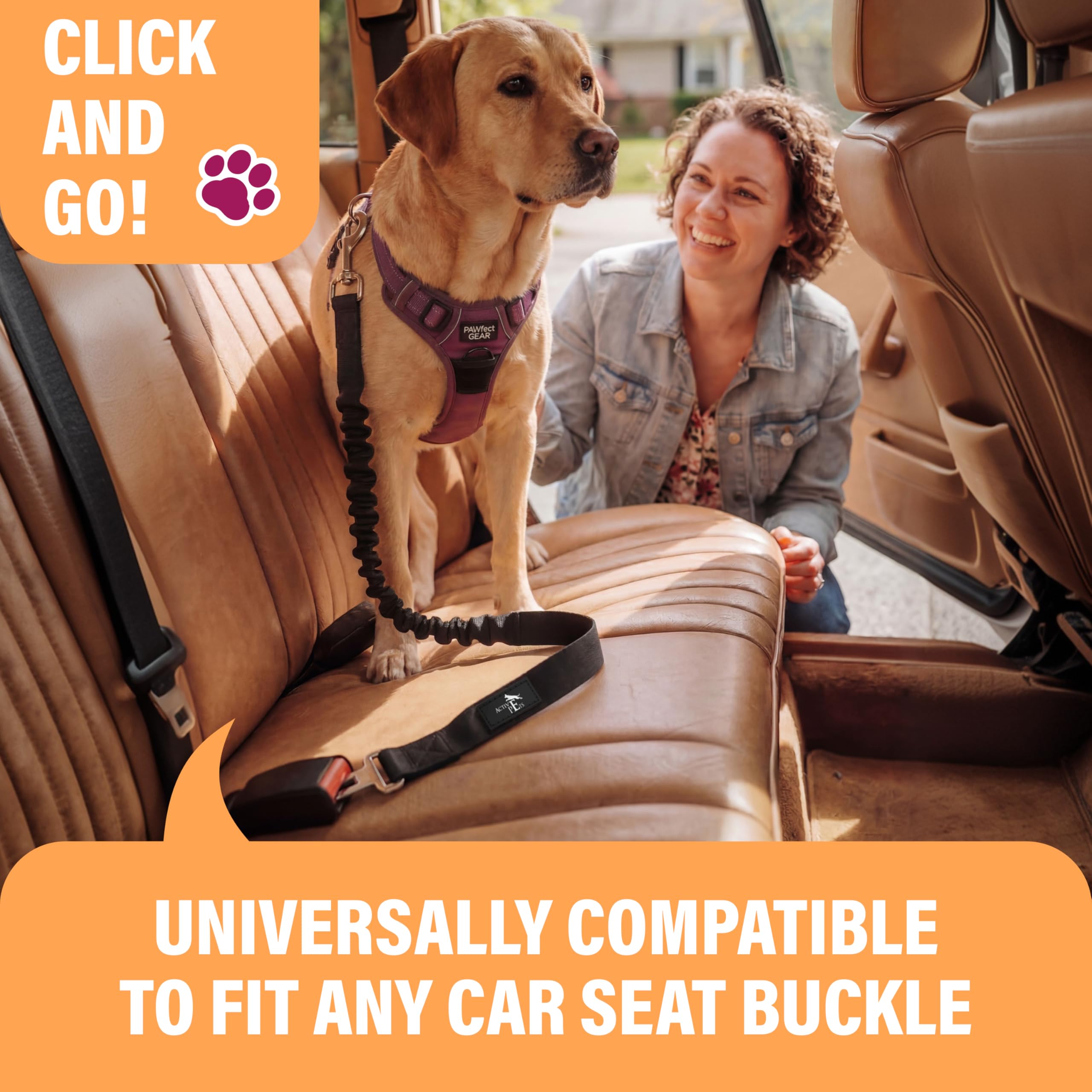 Active Pets Dog Seatbelt tether shown to highlight its adjustable length.