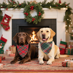 ADOGGYGO XL plaid dog bandana shown worn around a dog's neck.