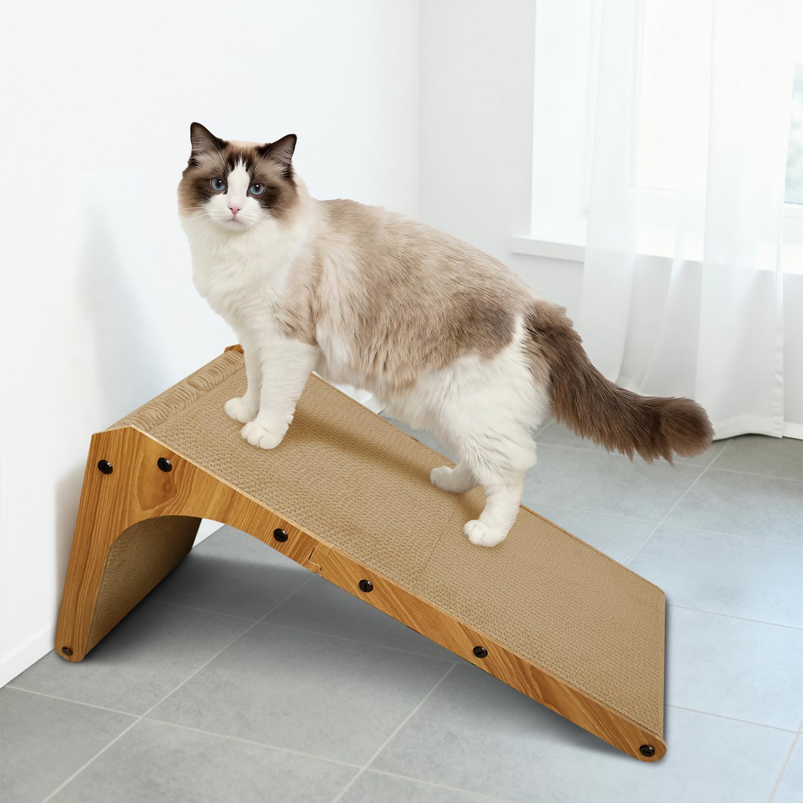 A cat resting on the AGYM Cat Scratcher as a bed.