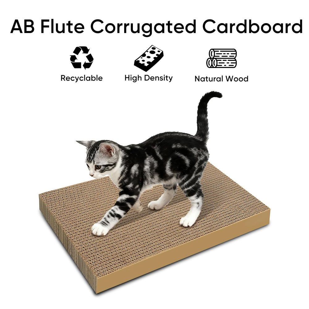 AGYM Cat Scratcher pad shown with a cat using the scratching surface.