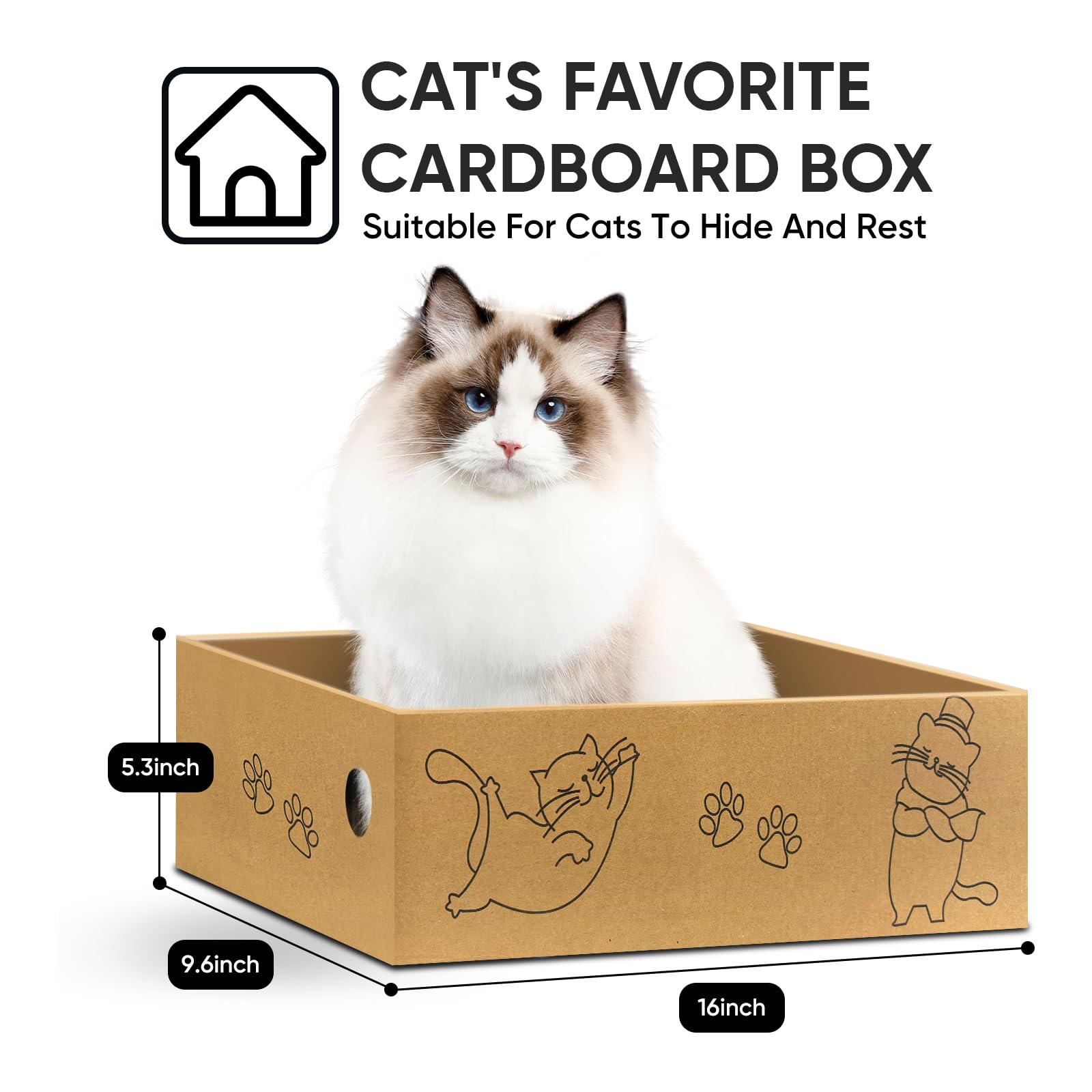 AGYM Cat Scratcher shown with its box that catches cardboard scraps.
