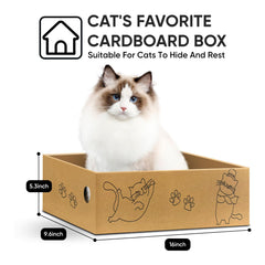 AGYM Cat Scratcher shown with its box that catches cardboard scraps.
