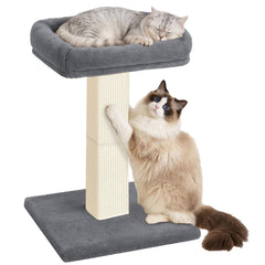 AGYM cat scratching post shown from the front with its plush perch and base.
