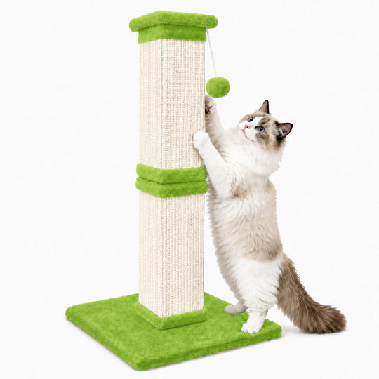 AGYM cat scratching post shown from the front with its vertical sisal surface and plush-covered base.