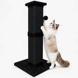 AGYM cat scratching post shown from the front with its vertical sisal surface and plush-covered base.