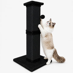 AGYM cat scratching post shown from the front with its vertical sisal surface and plush-covered base.