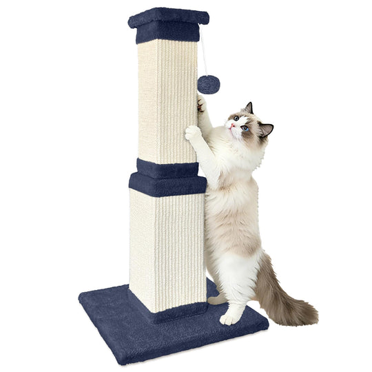 AGYM cat scratching post shown in a full product view.