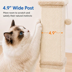 AGYM cat scratching post detail showing the soft plush-wrapped edges.