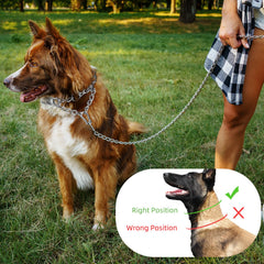 Aheasoun prong collar shown with its adjustable linked construction.