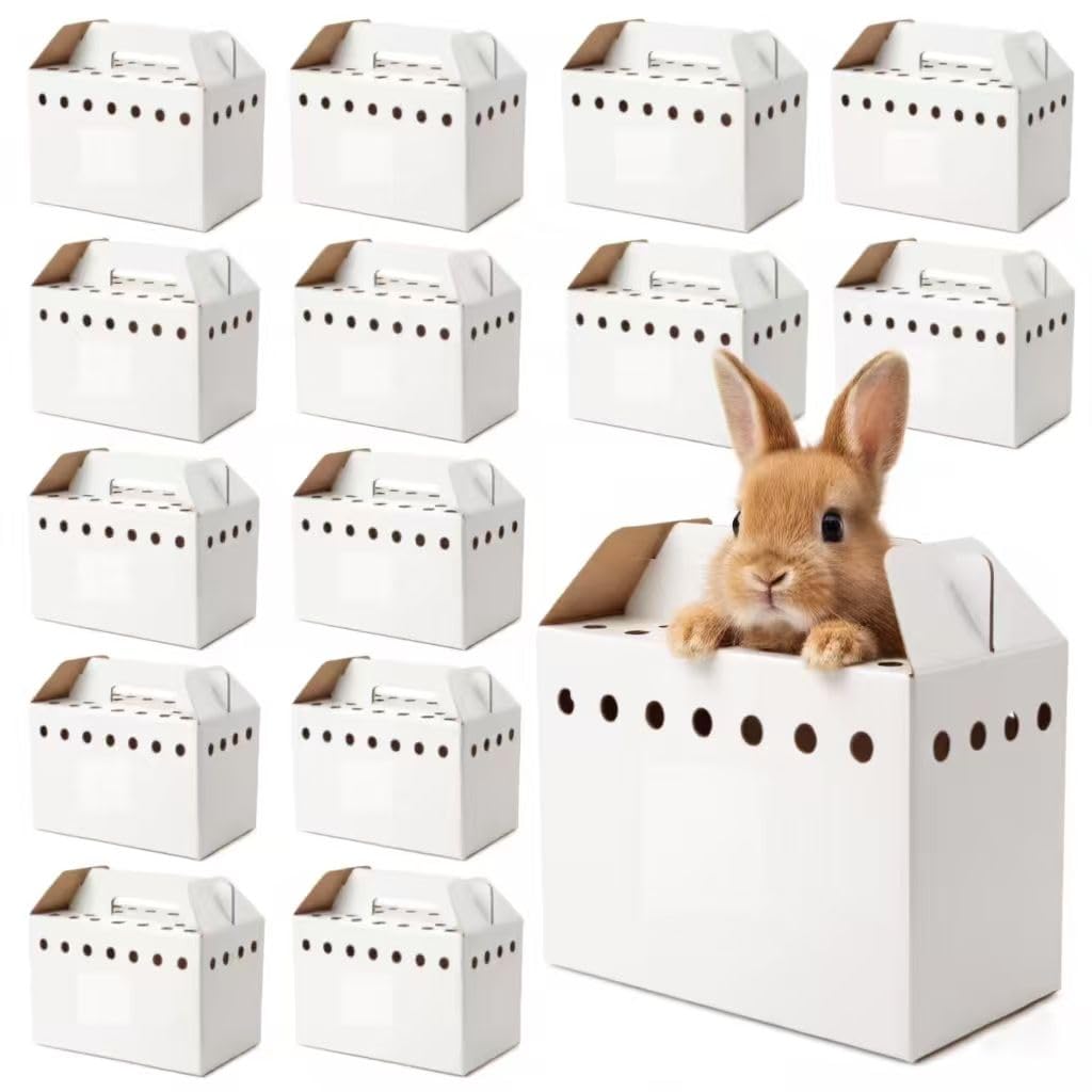 AiSmRu cardboard pet carrier box shown from the front.