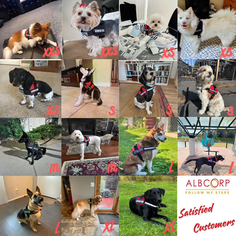 ALBCORP service dog vest harness breathable mesh padding detail.