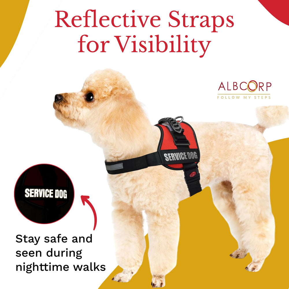 ALBCORP service dog vest harness metal D-ring for leash attachment.
