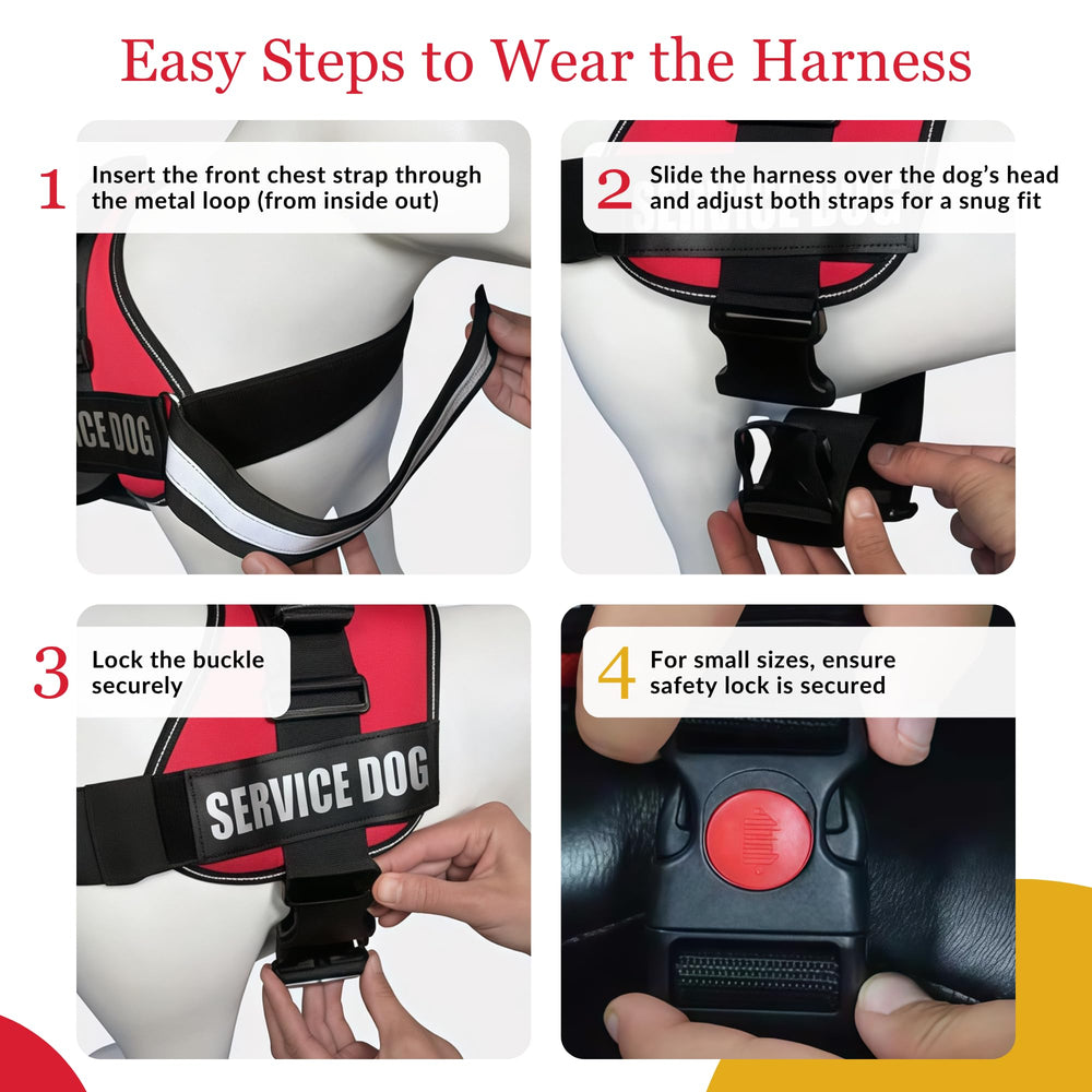ALBCORP service dog vest harness worn by a dog.