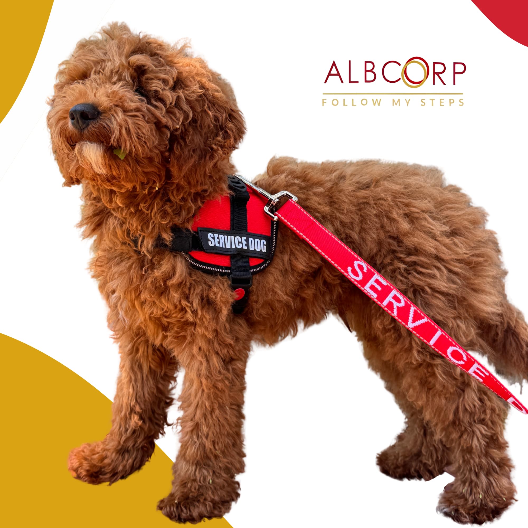 ALBCORP service dog vest harness with a SERVICE DOG patch attached.
