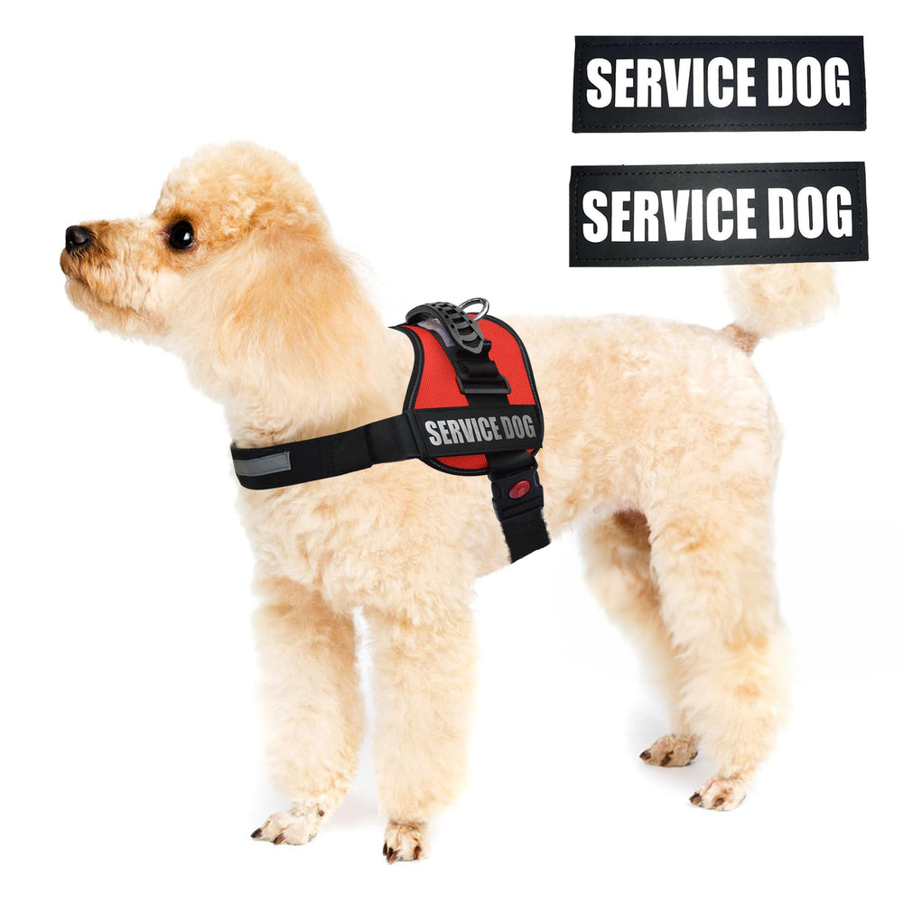 ALBCORP service dog vest harness shown from the side.