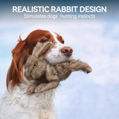 A dog holding the ALL FOR PAWS Brown Rabbit Pet Plush Toy.