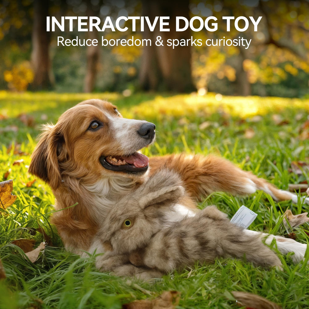 A dog playing fetch with the ALL FOR PAWS Brown Rabbit Pet Plush Toy.