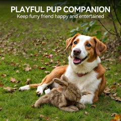 A dog enjoying solo play with the ALL FOR PAWS Brown Rabbit Pet Plush Toy.