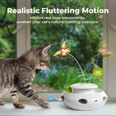 ALL FOR PAWS cat toy showing the rolling balls on the track.