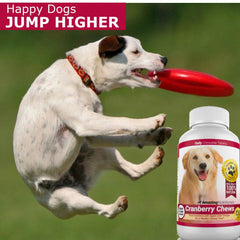 Amazing Nutritionals cranberry dog chews shown to highlight their bacon flavor.