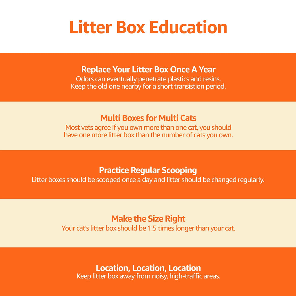 Amazon Basics cat litter box in its grey and beige color combination.