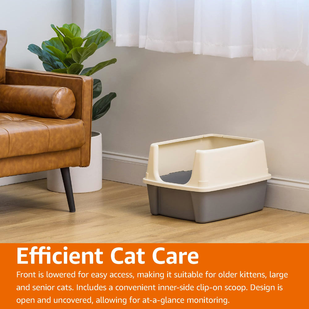 Amazon Basics cat litter box shown in use by an indoor cat.