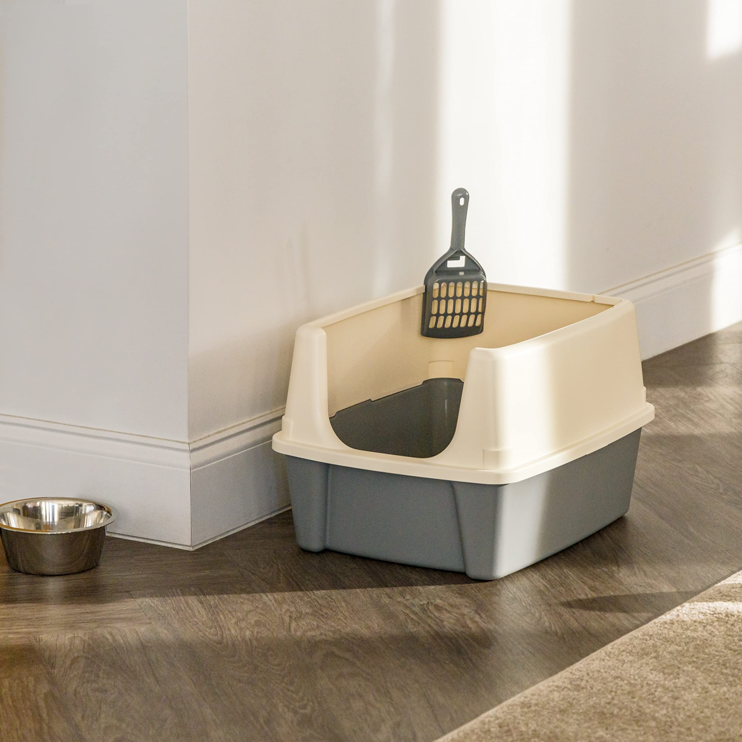 Amazon Basics cat litter box shown from a rear angle.