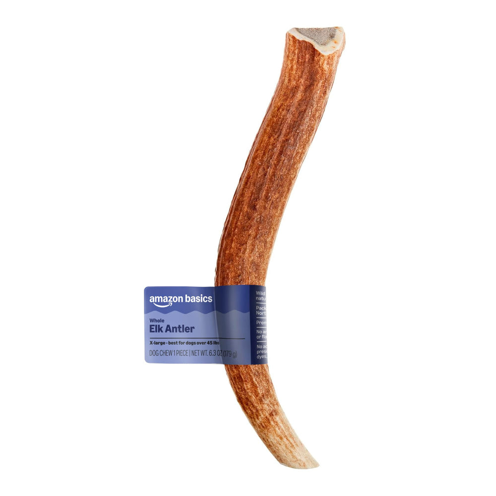 Amazon Basics elk antler dog chew shown from the front.