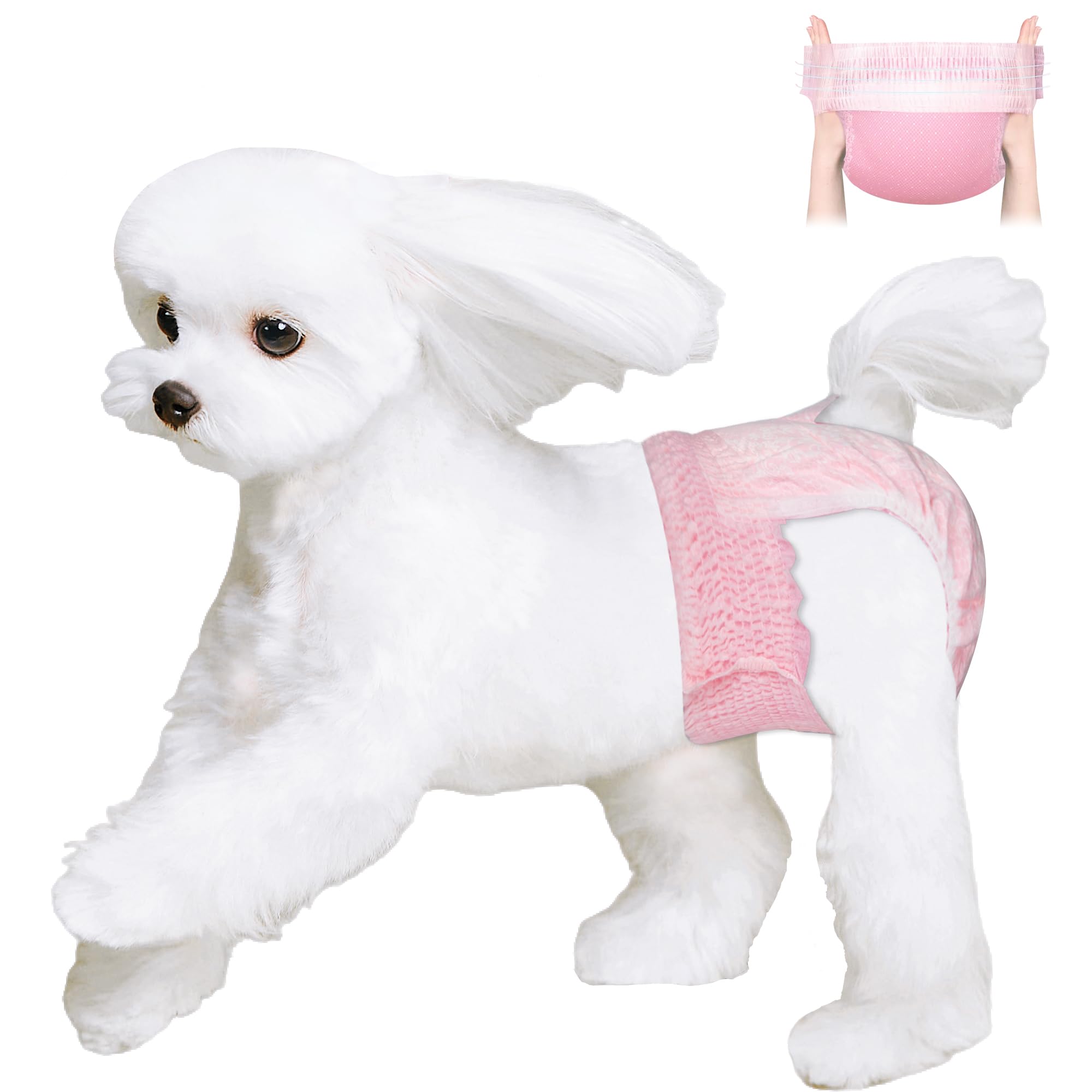 Ambreview female dog diaper shown from the front.