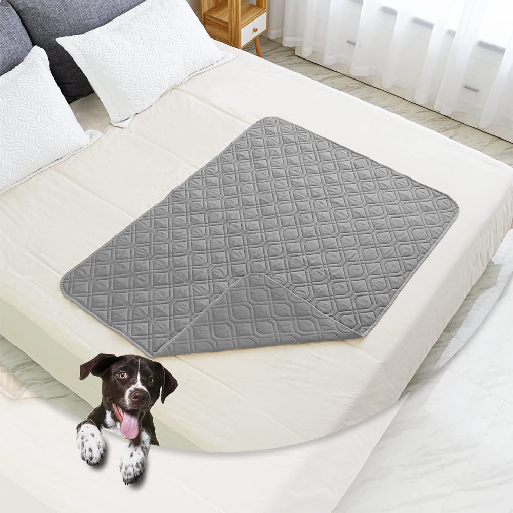 Ameritex Waterproof Blanket covering a sofa for shared time with a pet.