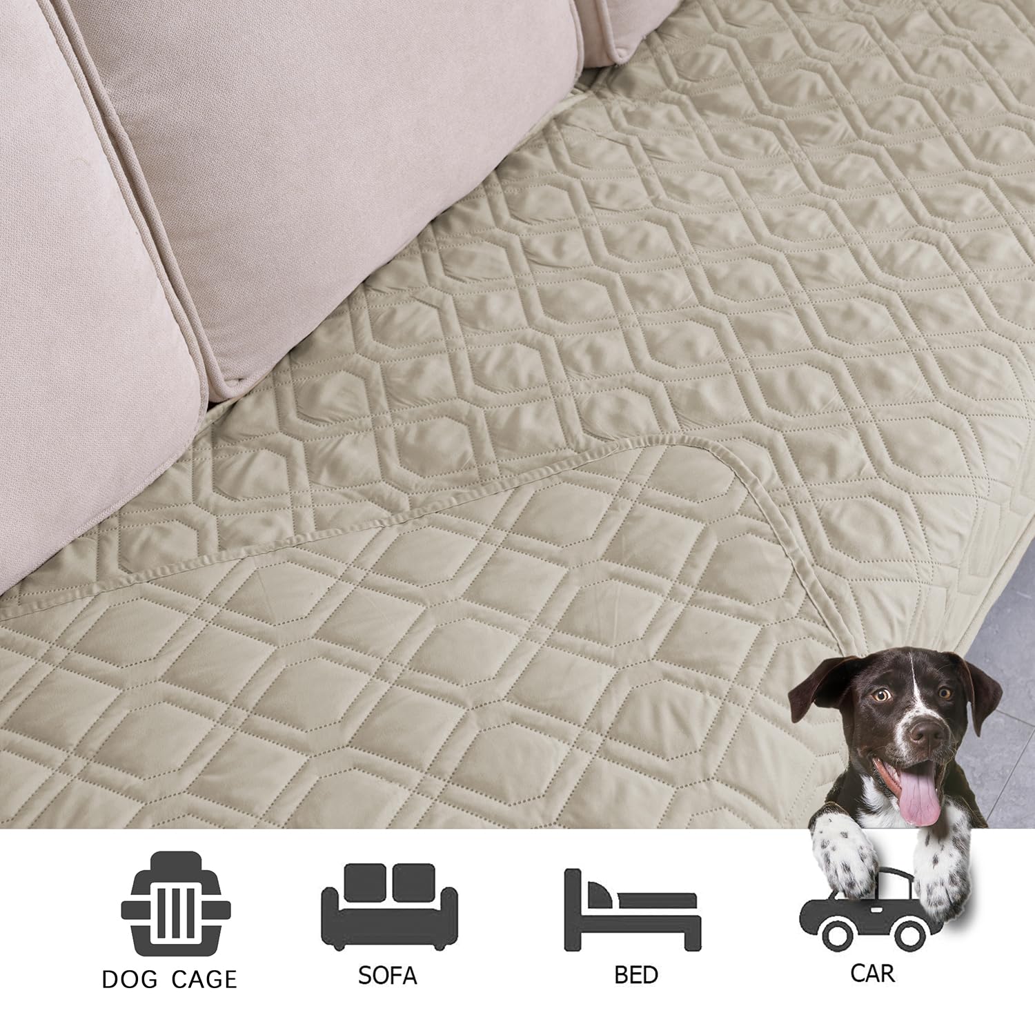 Ameritex waterproof dog bed cover spread across a sofa.