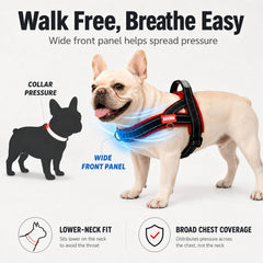 Amourchou dog harness back D-ring shown in close-up.