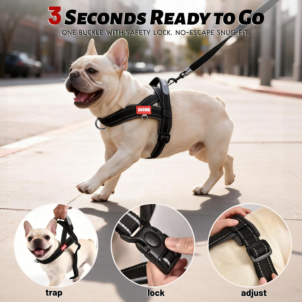 Amourchou dog harness adjustable strap and locking buckle.
