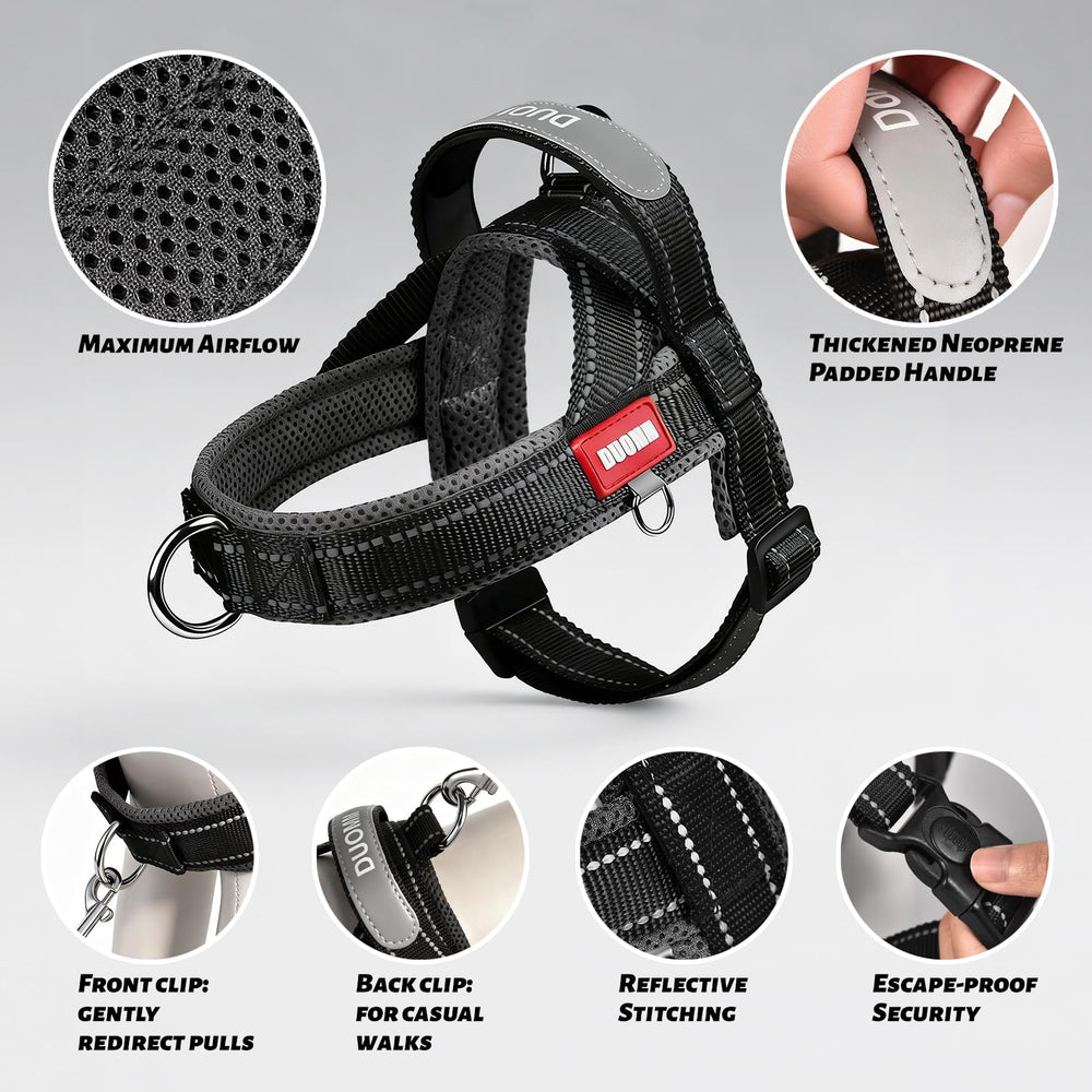 Amourchou dog harness front D-ring shown in close-up.