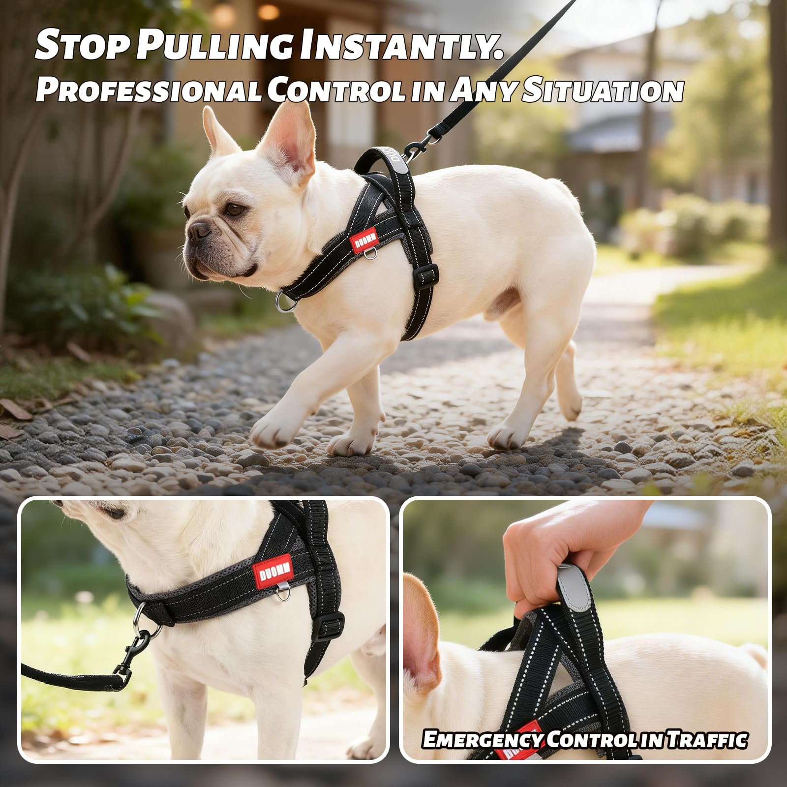 Amourchou dog harness reflective strips shown close up.