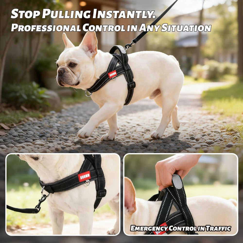 Amourchou dog harness reflective strips shown close up.