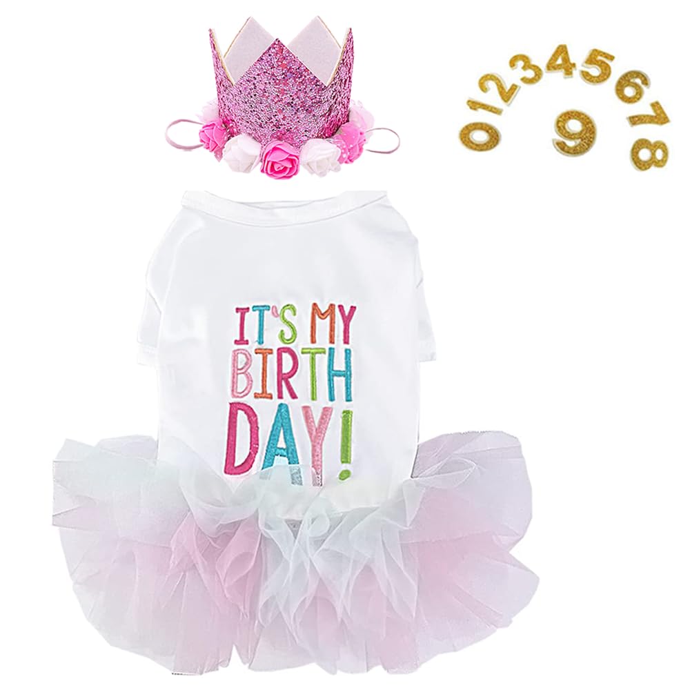 ANIAC dog birthday dress and hat set shown from the front with its pink tutu and crown.